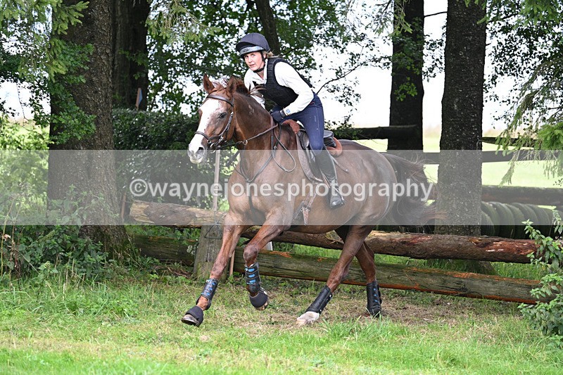 WJ7_8295 - Time 14:11 to 14:30