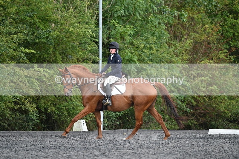 WJ7_7900 - Time 13:40 to 14:00