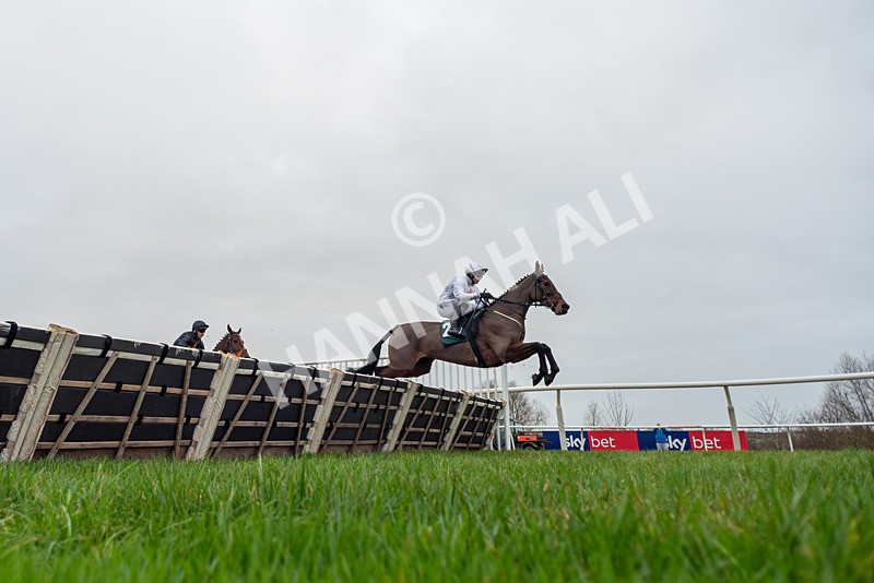 281225-Race 2-Kakas Cousin-7907 - Race 2