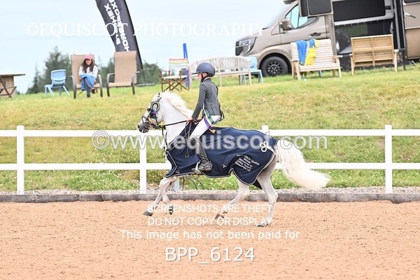 BPP_6124 - SUN CLASS 49 Horse of The Year Show 128cms Qualifier