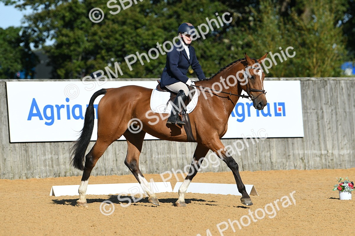 SBM_16211 - D4 - Small Tour Championship - Intro B