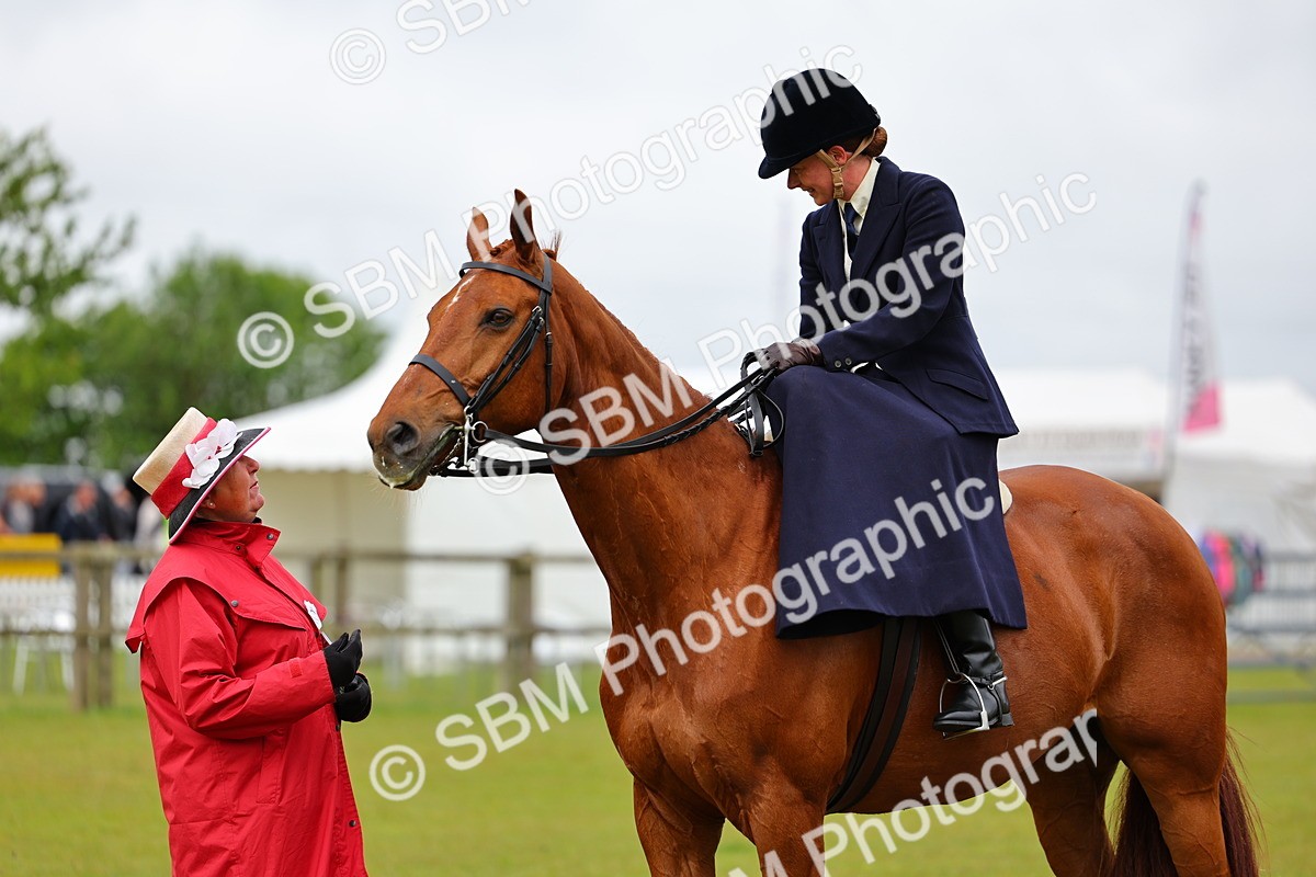 SBM_02757 - Class 9-11 Side Saddle including LIHS Rising Star Ladies Show Horse