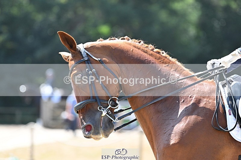 250810A-134256-07048 - 015-Sarah.StewartDJoe.Dimaggio