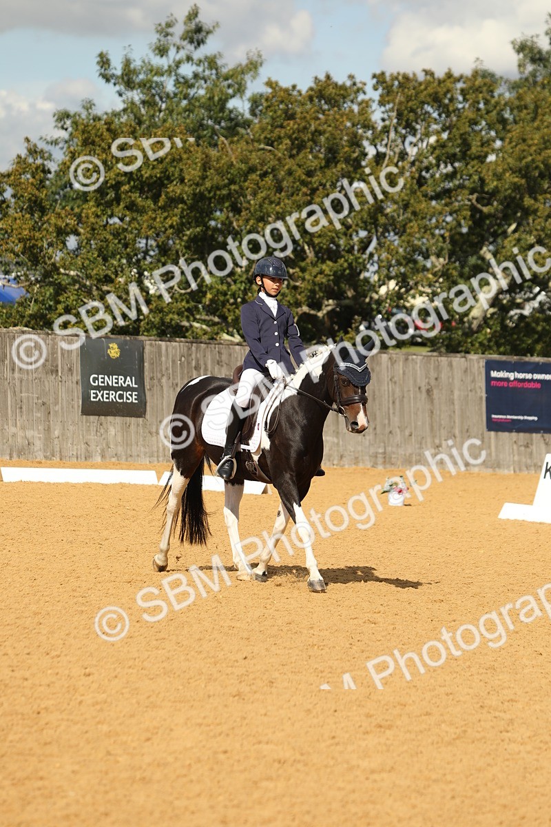 SBM_41709 - D21 - Junior Championship - Intro A