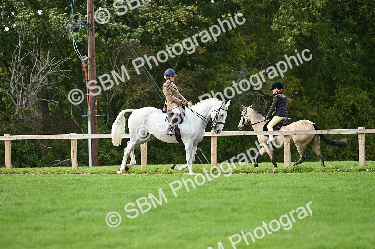 SBM_26398 - S6 - Novice & newcomer Ridden horse
