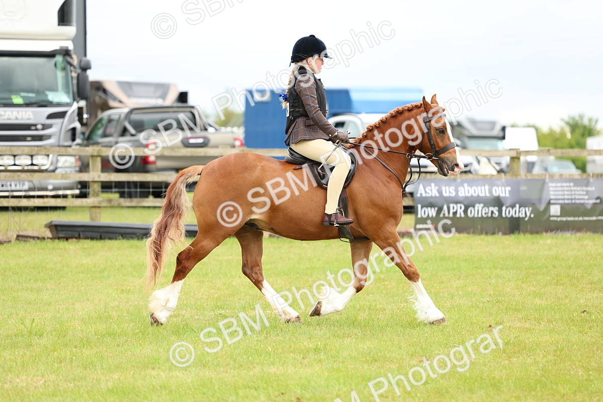 SBM_10342 - Class 44-45 - LIHS BSPS Open Nursery and Cradle Stakes