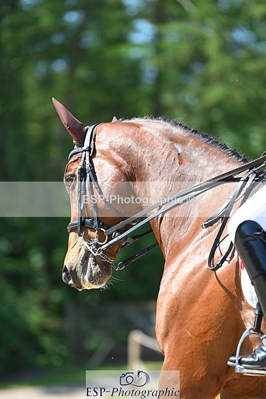 230526-113938-05819 - 469-WELLFIELDS_LINCOLN-Susie_Berry-DR