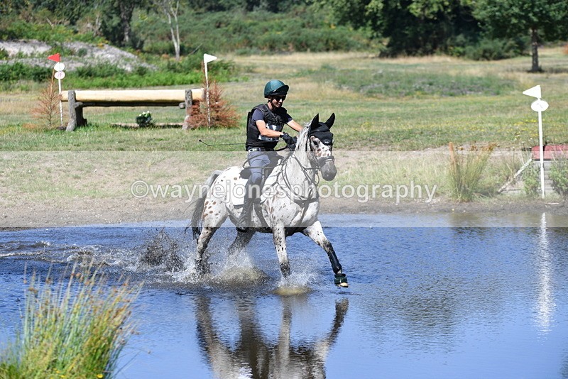 WJ5_2384 - XC Time 11:17 to 11:50