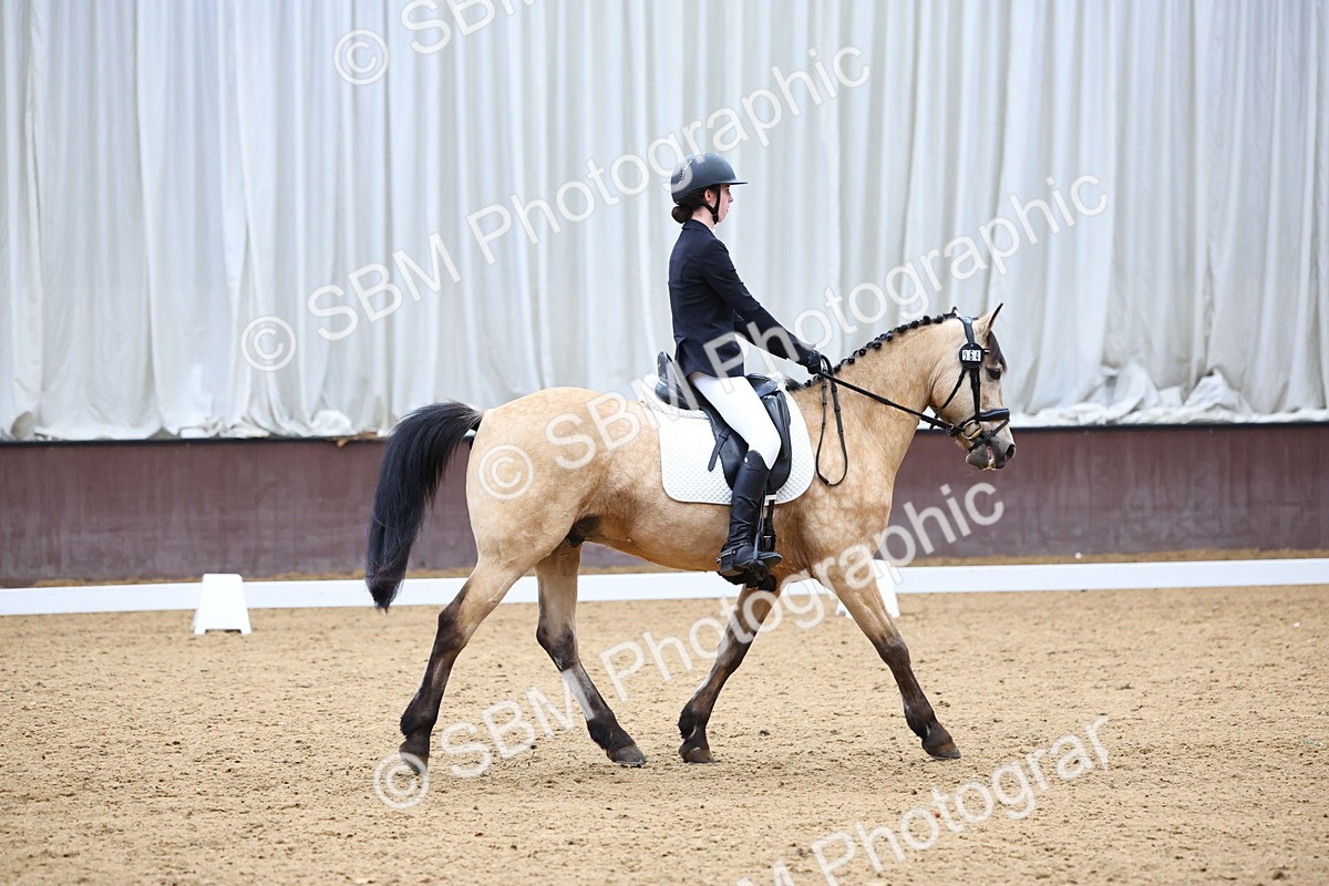 SBM_005424 - Elementary 2