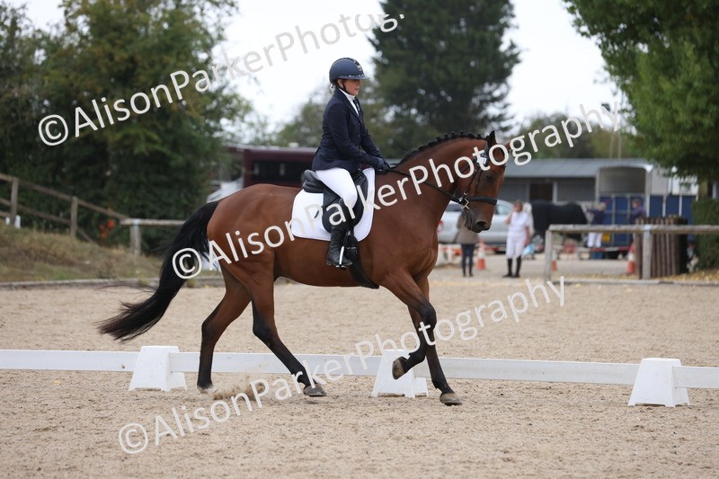 20250820-0380 - Class 11 - My Quest Novice 3