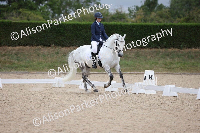 20250705-0431 - Class 5 - Novice 2