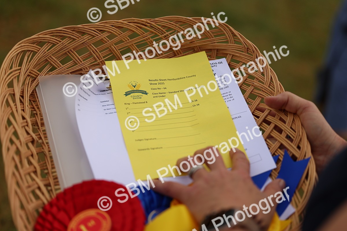 SBM_04320 - Class 64-67 - Shetland Pony In Hand