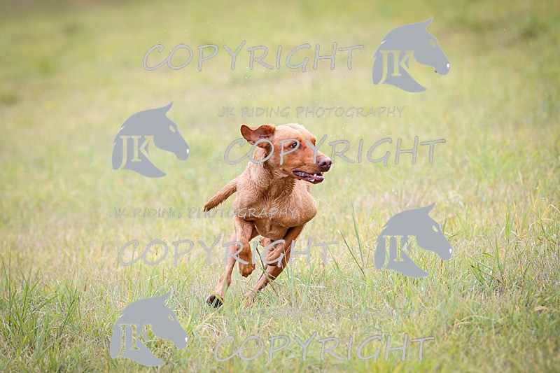 _R6A5794 - 11.10am - 12pm