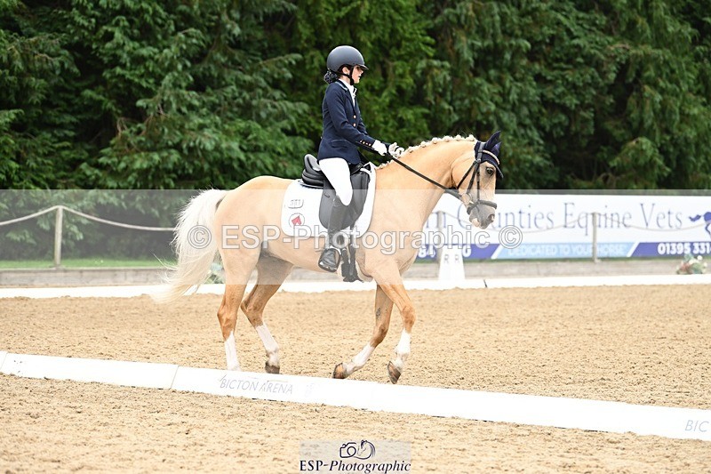 240811-122909-05844 - 301-Sophia.Longworth-Don.Deluxe