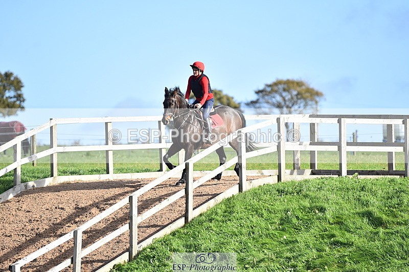 231105A-111722-00480 - 80cm