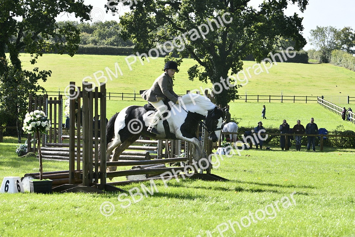 SBM_38195 - S31 - Novice & Newcomer Working Hunter Pony