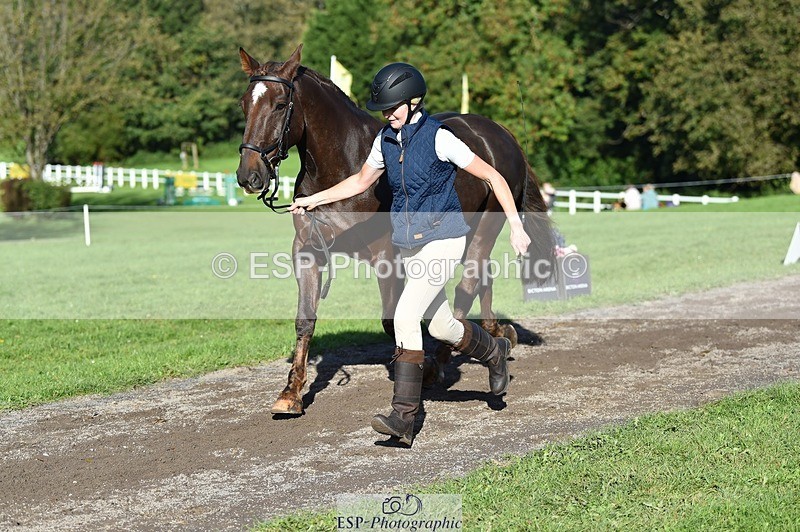 231022-110120-23668 - 461-WOODLANDS.JESTER-Karen.Cowling-TrotUp+SJ