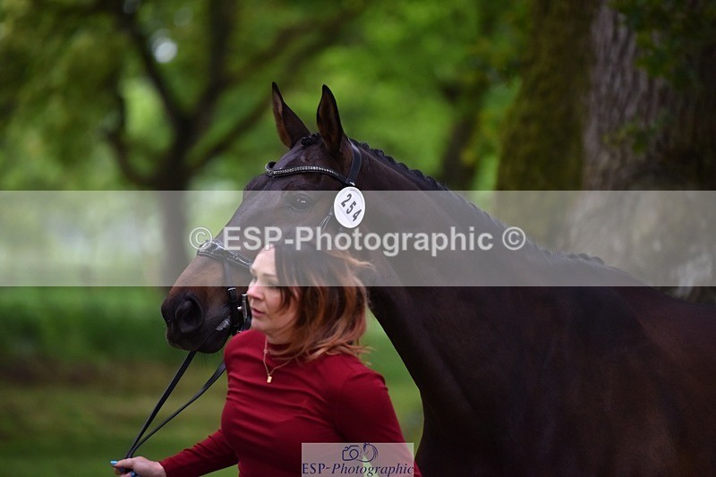 240522-171250-01455 - 254-KILBUNNY_RIOJA-Kate_Penny