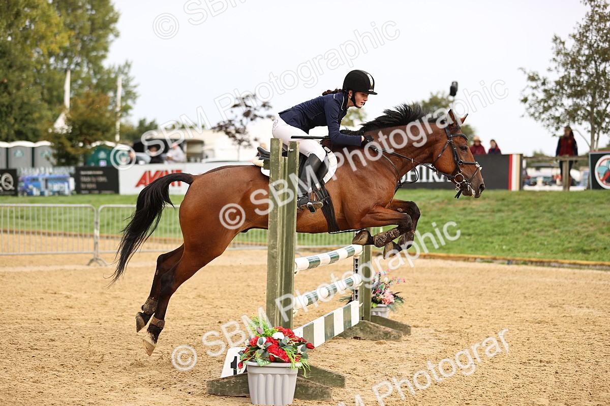 SBM_58203 - J41 - Grand Tour Horse & Pony 95cm