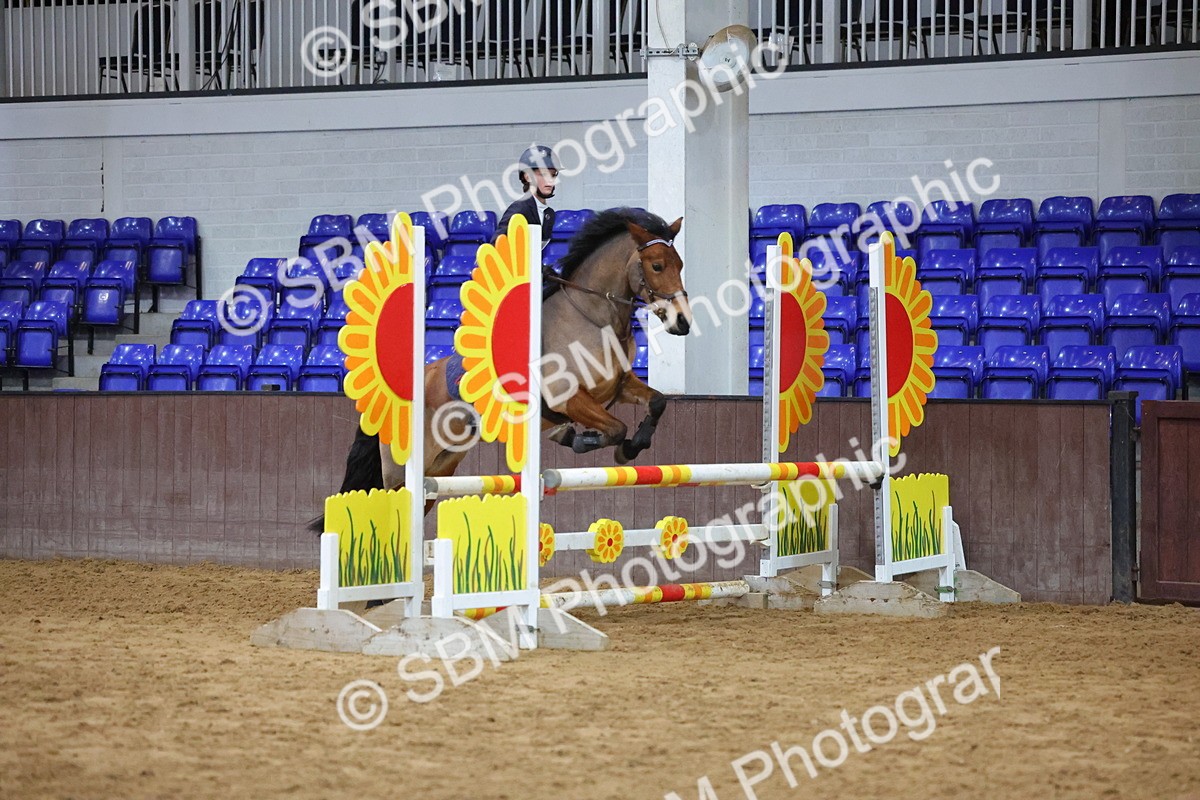 SBM_002078 - Class 5 - Show Jumping 80cm