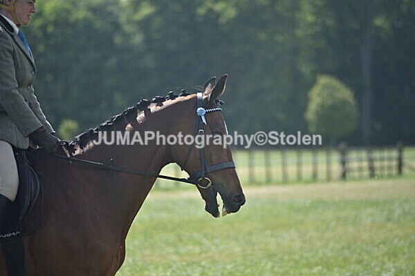 DSC_9272 - Rings 1 & 2