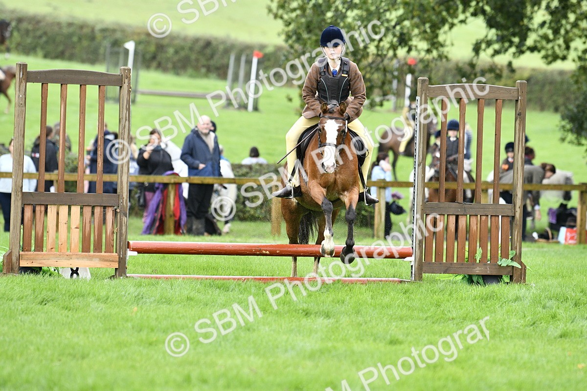 SBM_35441 - S30 - Nursery Stakes Working Hunter Pony