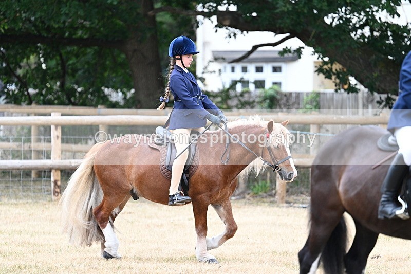 WJ7_0434 - Class 2 Best rider