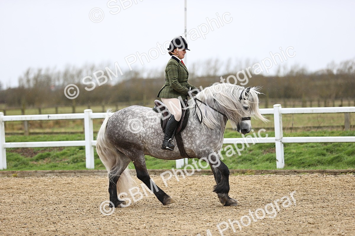 SBM_007532 - Class 31-32 - M&M Confined Novice Small-Large