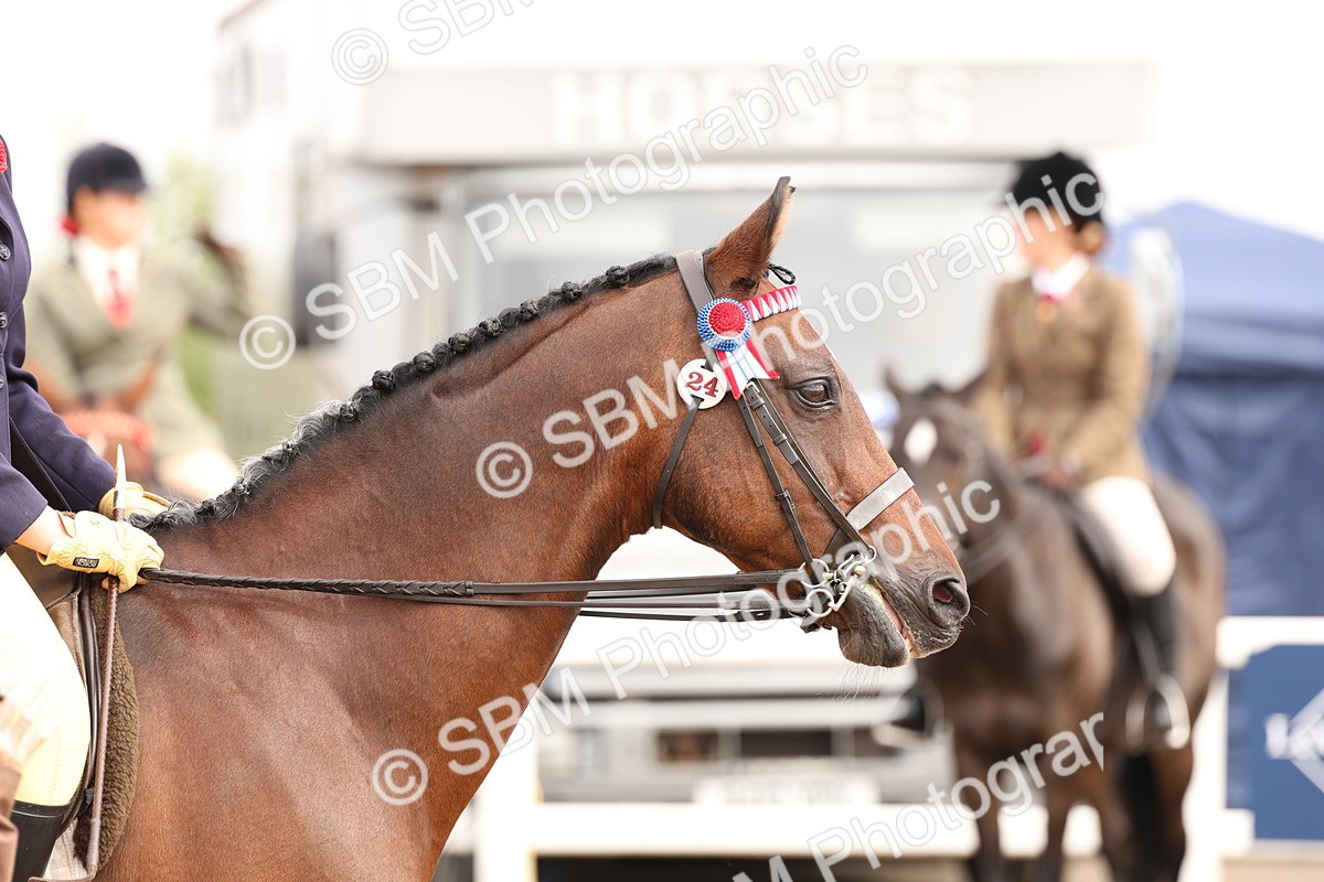 SBM_01571 - Class 52 - Ridden Veteran