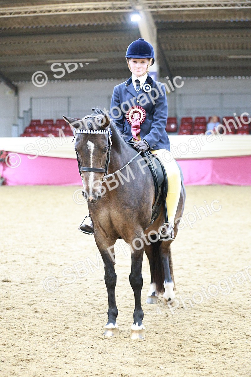 SBM_08377 - Class 11R - Regional Ridden Veteran