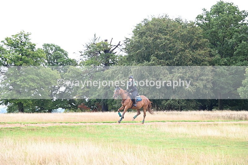 DSC_3728 - Time at Statue 13:51 to 14:55