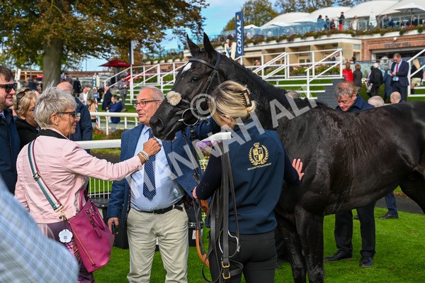 141023-Race 1-Purosangue-8712 - Race 1 1.15pm Coral Rockingham Stakes