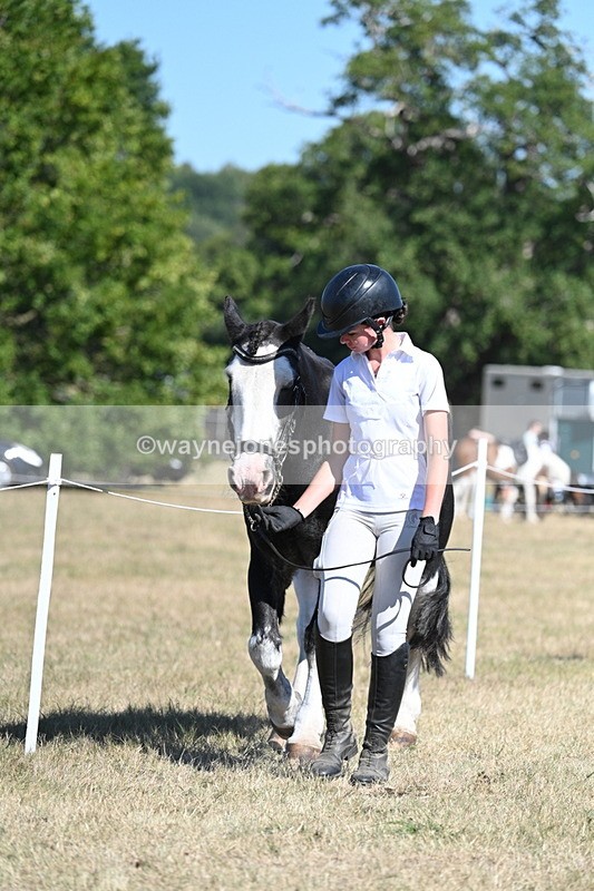 WJ7_1797 - Class 43 Best Six Legs (In hand)