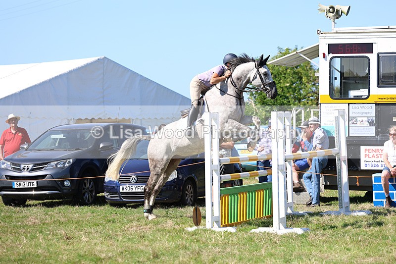 3E7A6525 - Class 13: Senior Newcomers/1.10m open