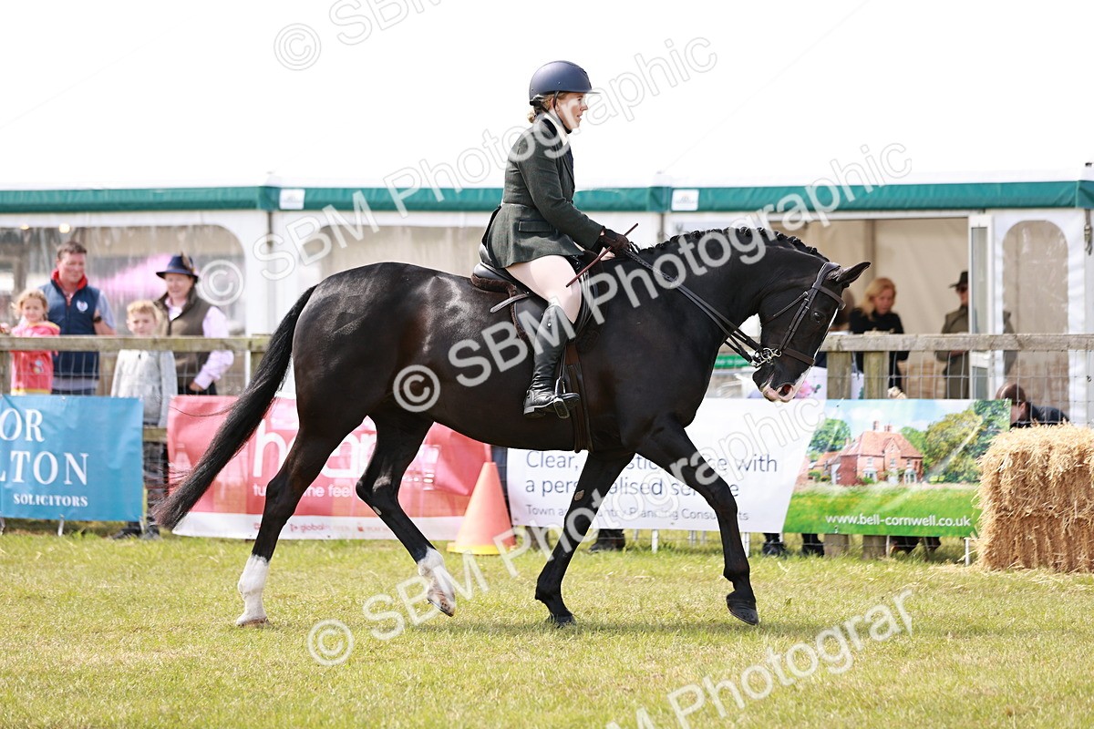 SBM_14503 - Class 88-89 - LIHS BSHA Rising Star of Ridden Hunter Type