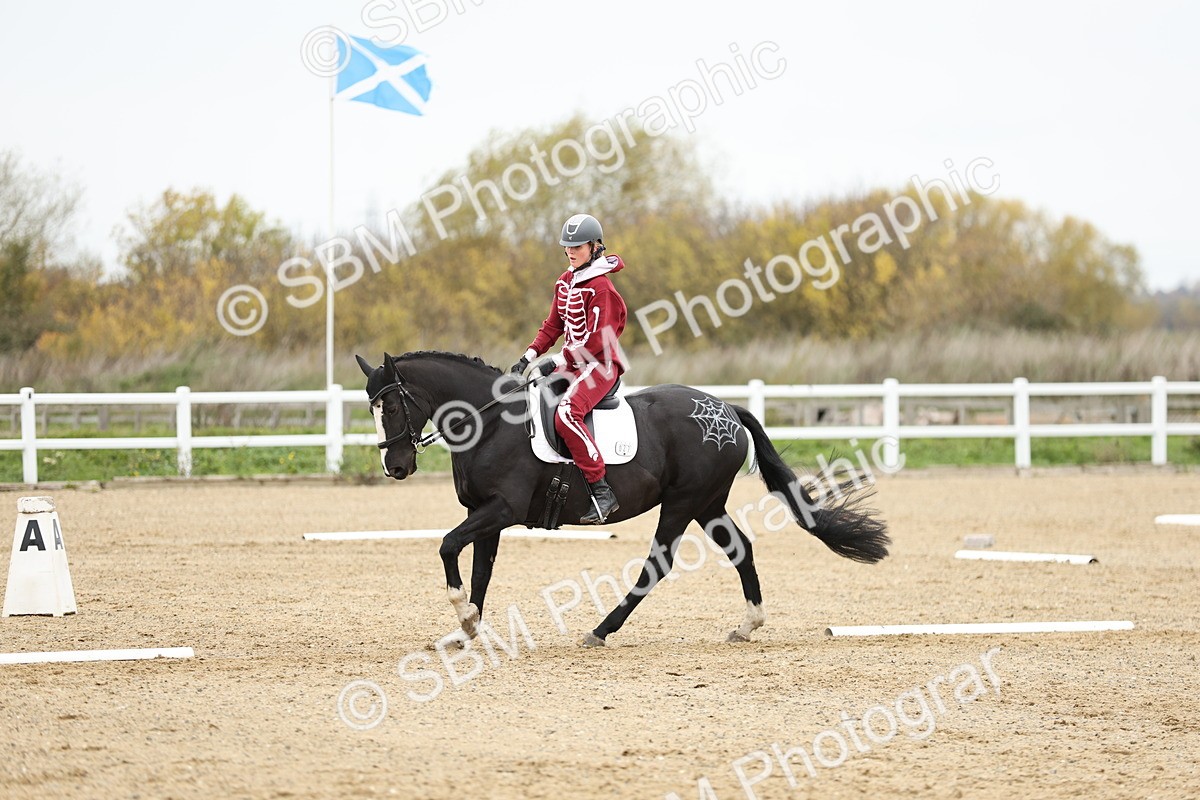 SBM_003714 - Class 9-12 - Novice 2 Elementary 3