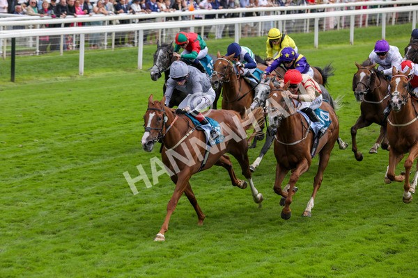 220824-Race 3-Thunder Run-7655 - Race 3 3.00pm Clipper Handicap
