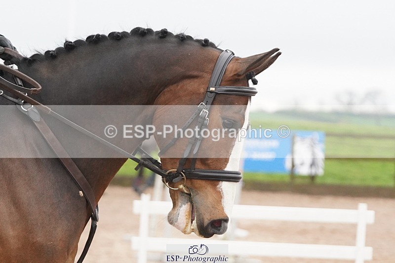 250419-100042-07891 - 425-Ollie.Martin-MIH.POP.SOCKS