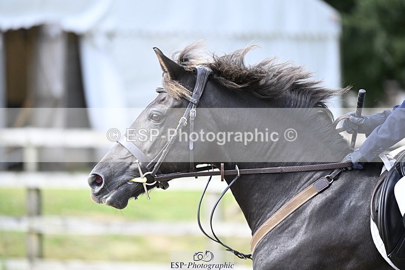 240823X-153845-18809 - 70cm R2 15.20 to 16.40