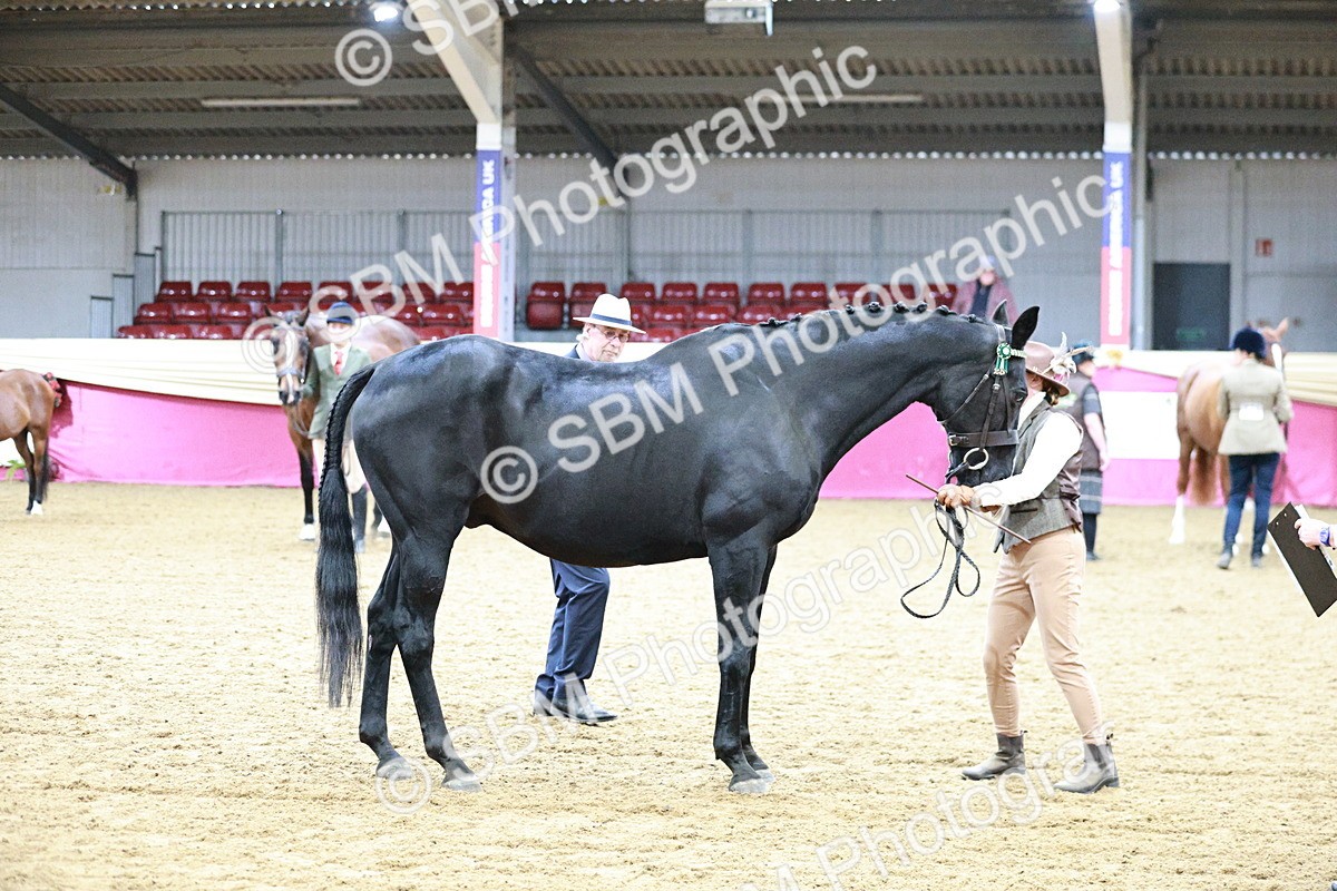 SBM_00274 - Class 1A - Area IH Diamond