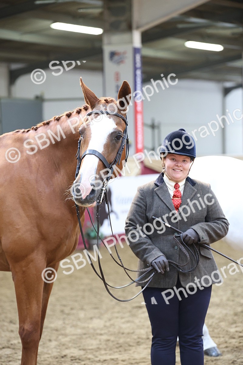 SBM_23311 - Class 903 - Supreme Final - IH Pre Vet