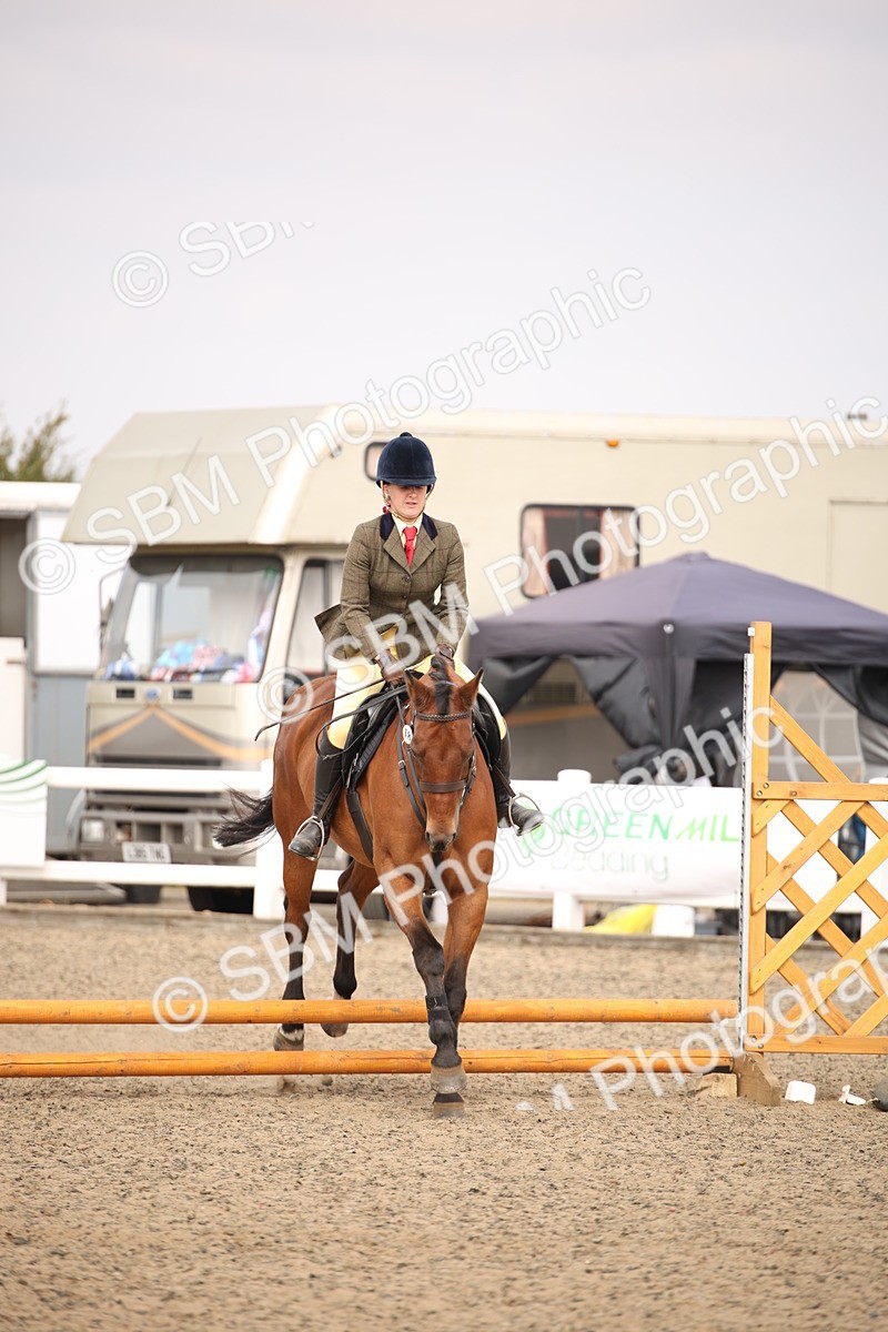 SBM_12905 - Class 406a - Working Veteran 50cm (15-19)