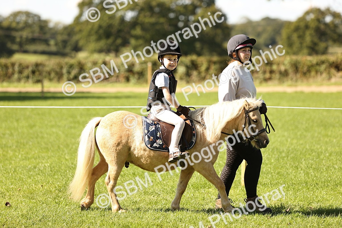 SBM_19207 - S3 - TSR Ridden Pony Showing