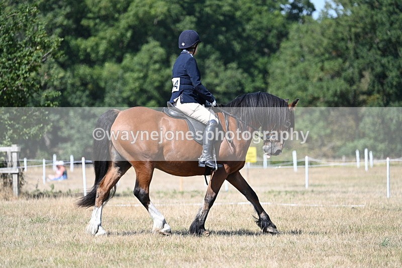 WJ7_0735 - Time 12:03 to 12:23