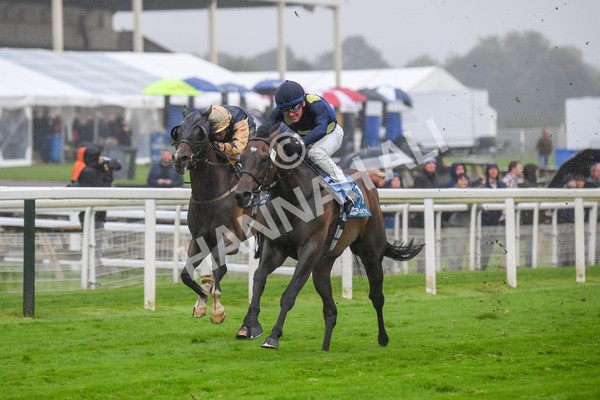 140723-Race 5-Monte Linas-0504 - Race 5 4.25pm Coopers Marquees Handicap