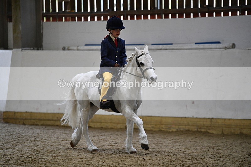 WJ5_7203 - Class 11 Ridden PC - RC Pony