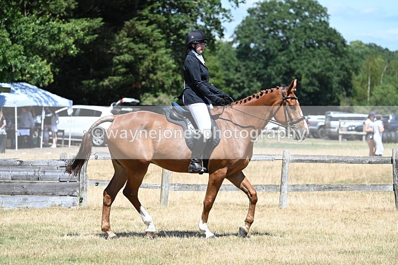 WJ7_2863 - Class 7 Riding Club Show Horse