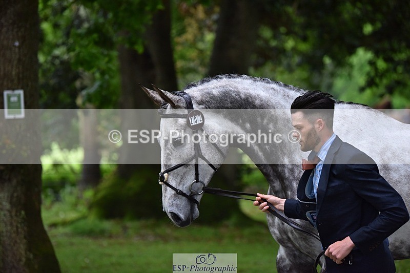 240522-162508-00901 - 202-WHIXLEY_QUALITAS-Barnie_Brotherton