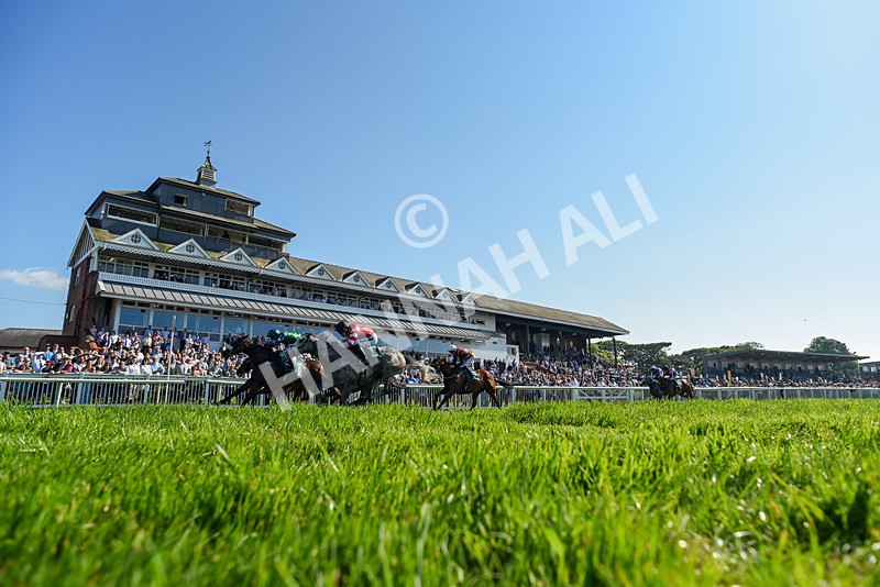 180524-Race 5-Tinto-2-2 - Race 5