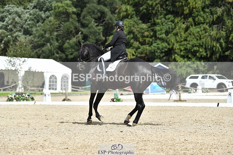 230812-140303-04583 - Cls 7 FEI PSG Bronze